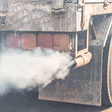 Governo projeta implantação do projeto piloto Frota Verde