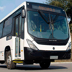 Volkswagen Caminhões e Ônibus exporta 130 ônibus com destino à Angola