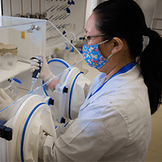 ISI Biomassa está desenvolvendo um projeto para produção de um biossanitizante a partir do bio-óleo da macaúba 