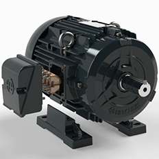 Motores devem possuir formas construtivas diferenciadas 