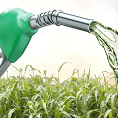 Com a nova gasolina produzida pela Petrobras os veículos deverão ter um rendimento até 4% maior