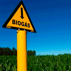 Copel e CIBiogás firmam parceria para desenvolvimento de geração de energia através de resíduos da agroindústria