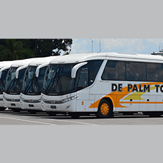 Marcopolo e Volvo exportaram mais seis ônibus para a frota da De Palm Tour