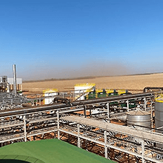 Produção de etanol a partir do milho atividade que vem ganhando cada vez mais força no Brasil