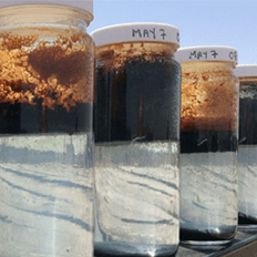 GOGO membranes are built from a base of pristine graphene, graphene oxide and a cross linking agent