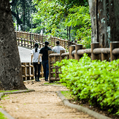 Plano de Ação Ambiental da Toyota
