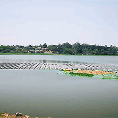 BYD instala projeto piloto de painéis sobre flutuadores na represa Billings