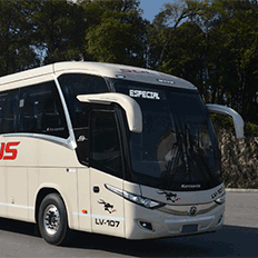 Marcopolo exporta para Argentina ônibus com soluções Biosafe e inédito sistema Movon