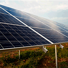 Setor de energia solar segue para um desenvolvimento econômico sustentável no país