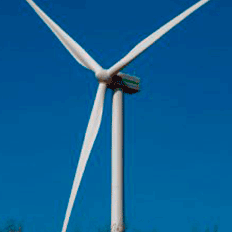 Neoenergia avança nas obras do Complexo Eólico Chafariz