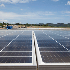 Trina Solar fornecerá painéis solares para o Parque Solar Girasol na República Dominicana