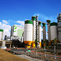 Setor de base florestal continua dando sinais de forte crescimento no Brasil