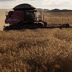 Contratações de crédito rural somaram R$ 125,3 bilhões entre julho e dezembro de 2020