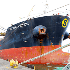 Biomassa é produto de exportação que vai atender o mercado do Reino Unido na geração de energia sustentável