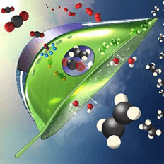 Braskem se une à Universidade de Illinois para pesquisar matéria-prima utilizada na produção de resinas termoplásticas 