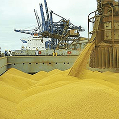 Exportações brasileiras do agronegócio somaram US$ 100,81 bilhões em 2020