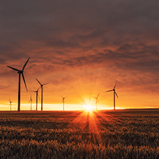 Perspectivas para o setor eólico brasileiro em 2021