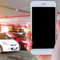 OLX registra aumento nas vendas de automóveis usados em 2020