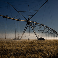 Decreto institui o Sistema Integrado de Informações do Plano Setorial para Consolidação de uma Economia de Baixa Emissão de Carbono na Agricultura