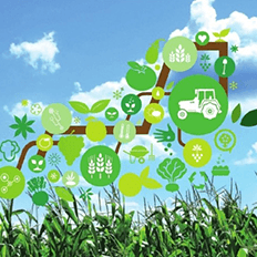 Exportação brasileira do Agrobusiness alcançou US$ 100,81 bilhões em 2020