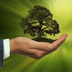 Curso de MBA em Gestão e Tecnologias Ambientais da UFSCar