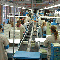 Pesquisa da Confederação Nacional da Indústria mostra grande quantidade de empresas realizando investimentos em 2021