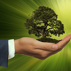 MBA em Gestão e Tecnologias da Sustentabilidade da UFSCar 