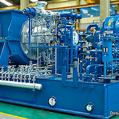 WEG S.A. vai equipar usinas termelétricas a biomassa em Roraima 