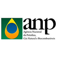 ANP registra mais de 15 mil ações de fiscalização em 2020