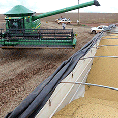 Economias regionais mostram expansão nas atividades durante o quarto trimestre de 2020